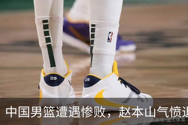 中国男篮遭遇惨败，赵本山气愤退场，观赛费用究竟是多少？